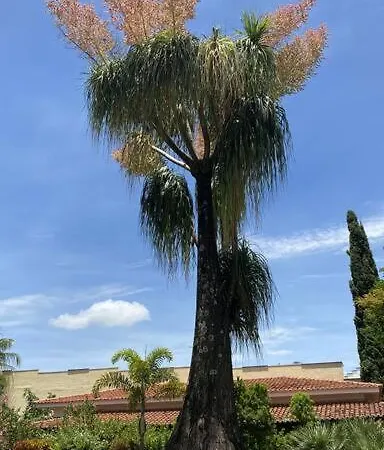Primavera Acolhedora Holambra Exterior foto